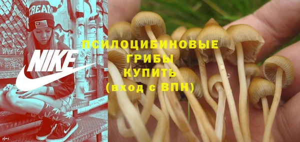 кристаллы Каменка