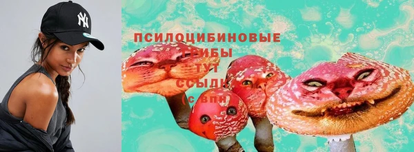 хмурый Каменск-Шахтинский